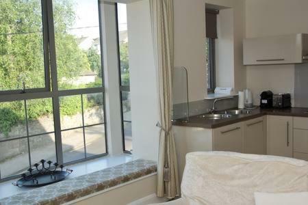 Oakleigh House, Apartment 1 Cork Extérieur photo